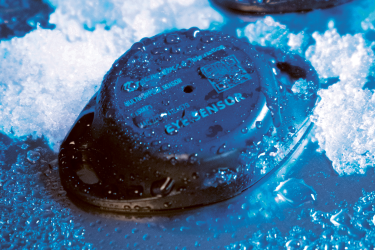 Czujnik Temperatury Wilgotności Bluetooth BLE - Teltonika EYE Sensor BTSMP1