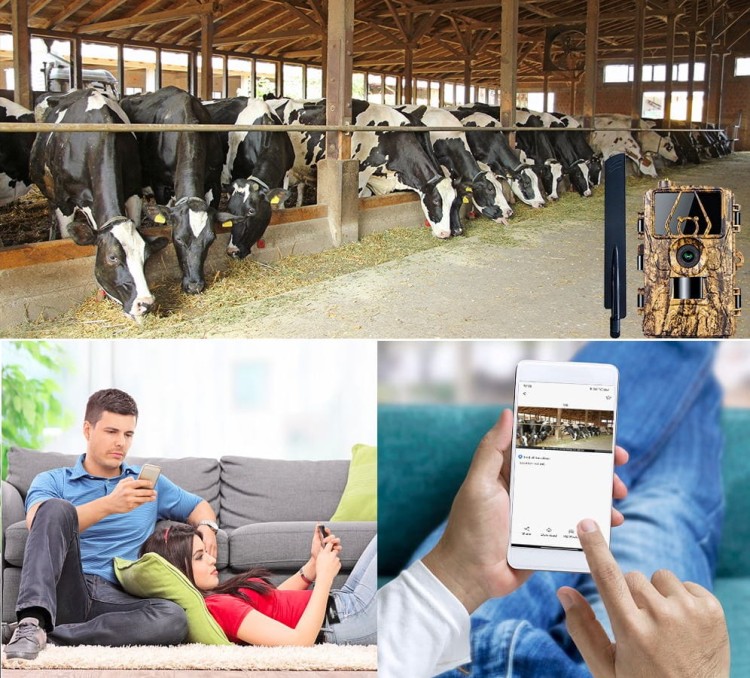 FOTOPUŁAPKA KAMERA LEŚNA MYŚLIWSKA 4G 8K POLSKIE MENU TRYB NOCNY APLIKACJA