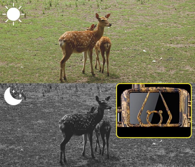 FOTOPUŁAPKA KAMERA LEŚNA MYŚLIWSKA 4G 8K POLSKIE MENU TRYB NOCNY APLIKACJA