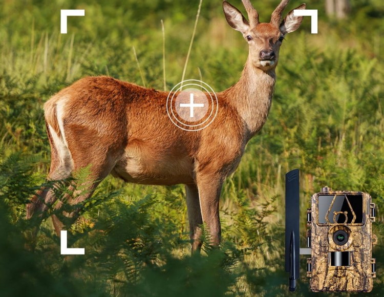 FOTOPUŁAPKA KAMERA LEŚNA MYŚLIWSKA 4G 8K POLSKIE MENU TRYB NOCNY APLIKACJA